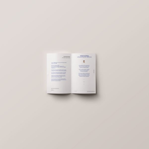 conception-edition-brochure-propectus-perception-recits-portfolio-marie-chatard-la-pigiste-branding-design-illustration-2