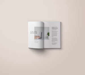 conception-edition-livre-book-guide-du-demenagement-portfolio-marie-chatard-la-pigiste-branding-design-illustration-20