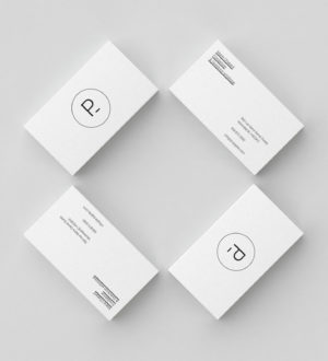 conception-identite-logo-pour-un-studio-de-design-la-pigiste4