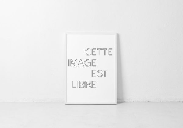 portfolio-marie-chatard-la-pigiste-branding-design-illustration-47